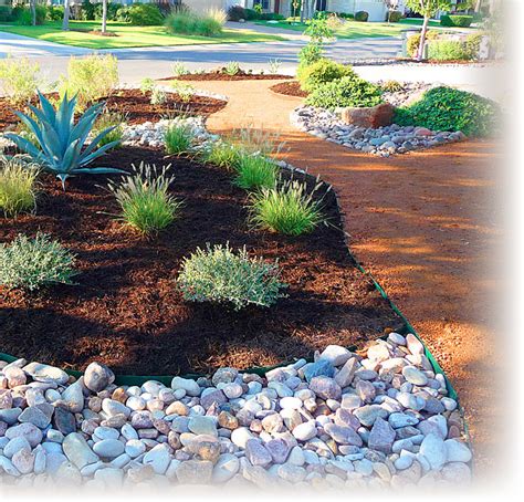 Low Water Landscaping Desert Landscaping Front Yard Landscaping