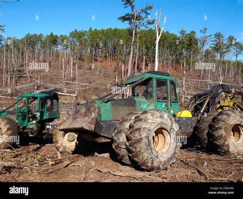 A Logging Skidder Works In A Pine Forest Stock Photo Alamy