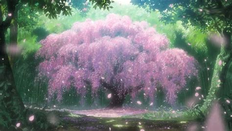 Sakura Tree Wallpaper Anime