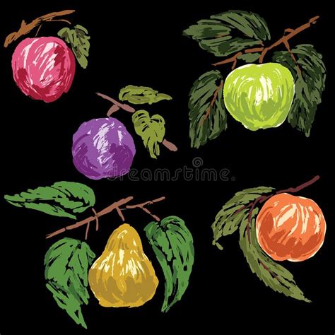 Vector Sketches Of Various Ripe Fruits Stock Vector Illustration Of