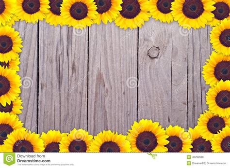 Sunflower Border Clip Art Stock Photo A Frame Made Of