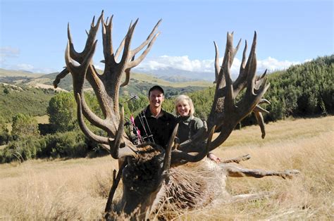 6 Day 5 Night New Zealand Red Stag Hunt For 2 Hunters Scoring Up To