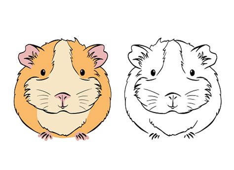 Nov 24, 2014 · place the elements in your drawing. Plump Cute Colorful Guinea Pig Sketch Vector Graphics ...