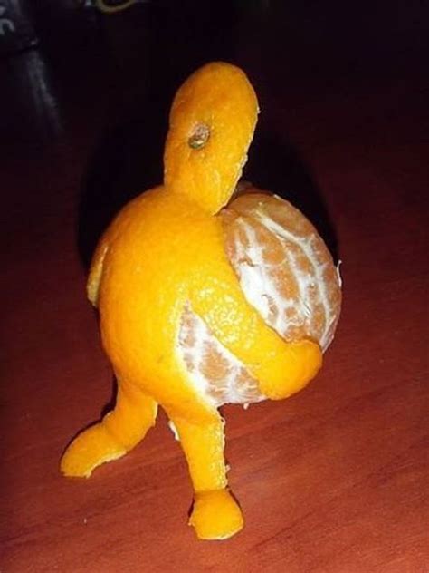 Orange Peel Man Lustig Lustige Bilder Humor Lustig
