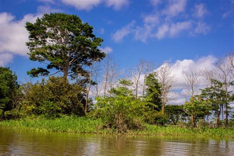 Amazing Clouds At A Rainforest Amazon Jungle Amazon River Stock Photo