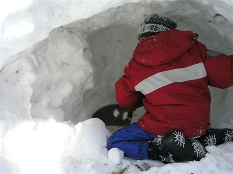 Snow Cave Siteduck