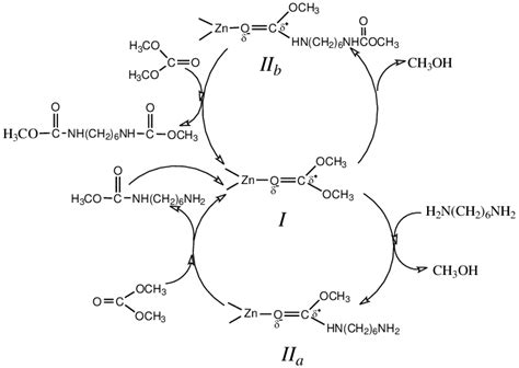 Scheme 1 A Proposed Mechanism For The Methoxycarbonylation Of