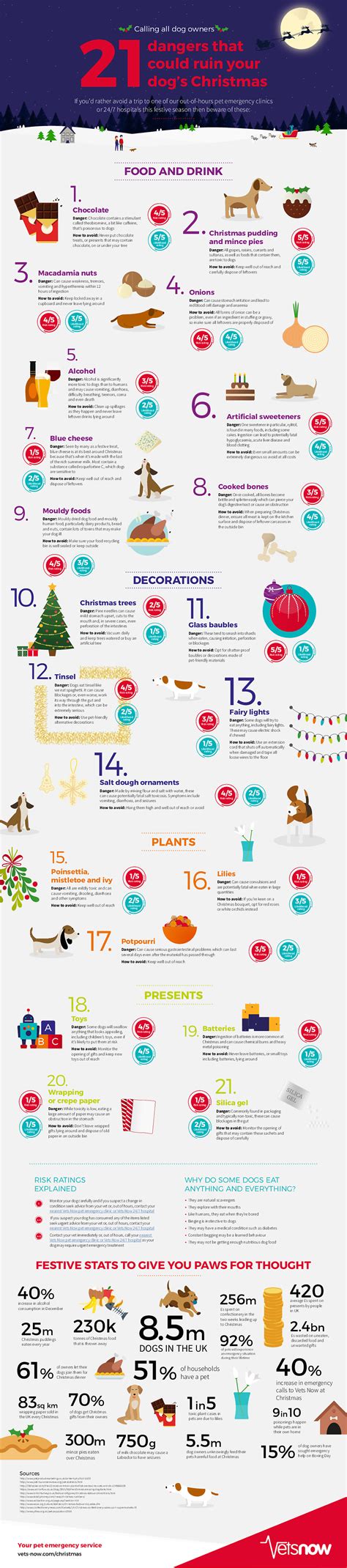 21 Christmas Dangers For Dogs Infographic Vets Now