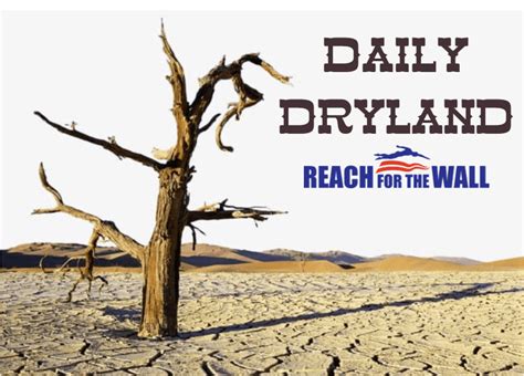 The ‘daily Dryland Ideas To Stay Active While At Home Reachforthewall