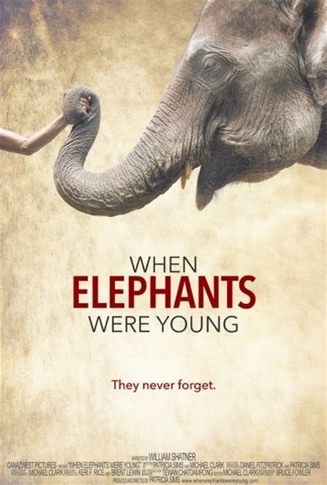 When Elephants Were Young A Documentary Coming To Palm Beach Film