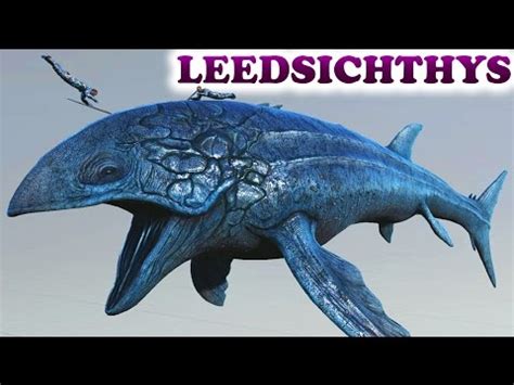 The leedsichthys cannot be tamed, however, it can be because i have also seen leedsichthys in ark survival evolved on mobile. Treachery of the sea Dreaded Encounters Leedsichthys Ar ...
