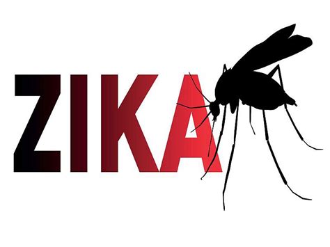 5 Local Zika Cases Reported In Florida Medical Tech News The Latest Health News