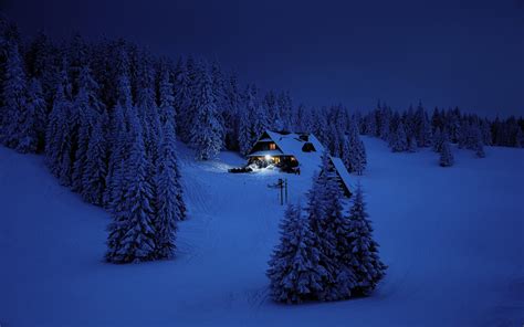 Download Wallpaper 1680x1050 House Night Winter Trees Snow Layer