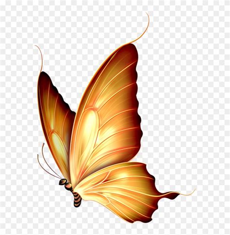 Butterflies Butterfly Png Free Transparent Png Clipart Images Download