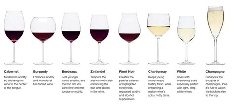 Types of Wine Glasses: A Wine Glass Guide 2022 | Crate & Barrel | Types