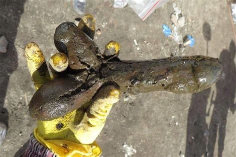 Look 18th Century Dildo Discovered In Poland