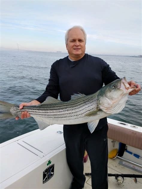 They create excellent structure and habitat for many types of marine life. 2021 Striped Bass Circle Hook Mandate | NJ Saltwater Fisherman