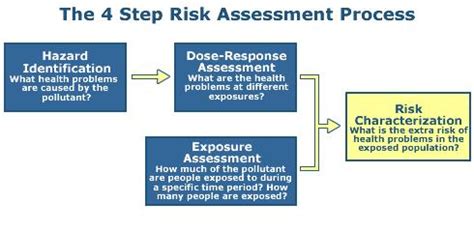 Risk Assessment Cogency