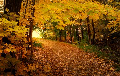 Autumn Dusk Vir Raras Flickr