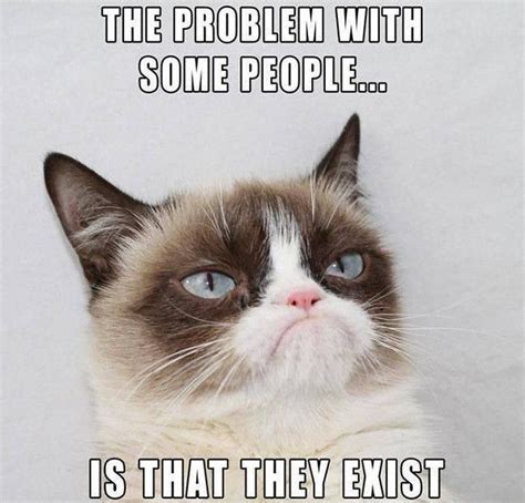 So we have found the funniest cat memes on the internet, for your personal enjoyment. Grumpy Cat dislikes your existence | mbinge.co/1vF7x5Q ...