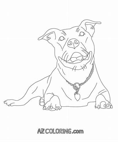Pitbull Coloring Pages Dog Printable Pitbulls Pit