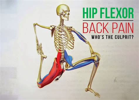 The hip muscles are going to be slip into hip muscles and gluteal muscles. Are your hip flexors causing your low back pain? | Total Therapy