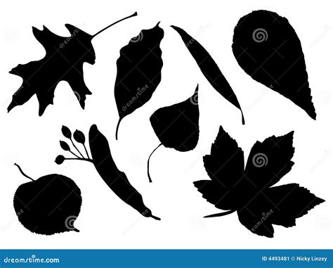 Leaf Silhouettes Stock Vector Illustration Of Seasons 4493481