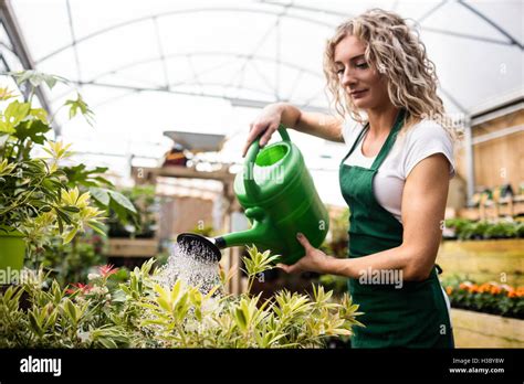 Female Florist Watering Plants With Watering Can Stock Photo Alamy