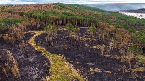 Photos Show Scale Of Massive Fires Tearing Through Siberian Forests