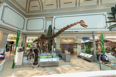 Smithsonian National Museum of Natural History Re-opens Dinosaur Hall | LATF USA