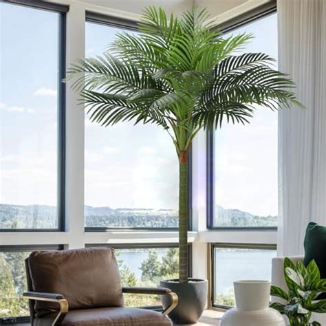 Artificial Palm Plant For Office House Decor 535 Feet