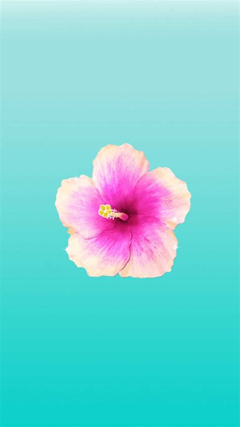 Hibiscus Wallpaper Iphone Kolpaper Awesome Free Hd Wallpapers