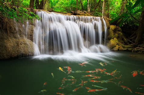 Earth Waterfall Fish Erawan Falls Thailand Kanchanaburi Kanchanaburi
