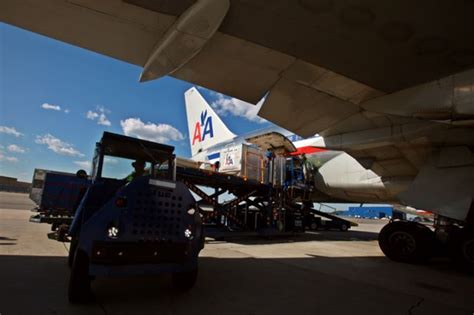 This view is endorsed by veterinary organizations such as the american veterinary medical. Cargo is loaded onto an American Airlines Boeing 767-223 ...