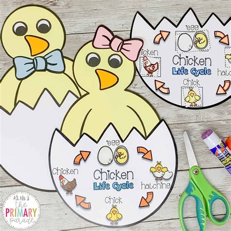 31 Great Easter Activities For Kids In 2021 Chicken Life Cycle Craft