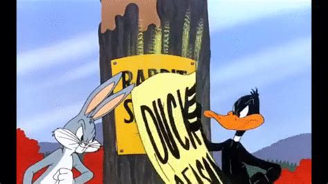 Rabbit Season Loonleytunes Bugsbunny Cartoons Duck Season Season 7