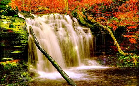 Autumn Forest Waterfall Nature Aiyumn Hd Background 2560x1600