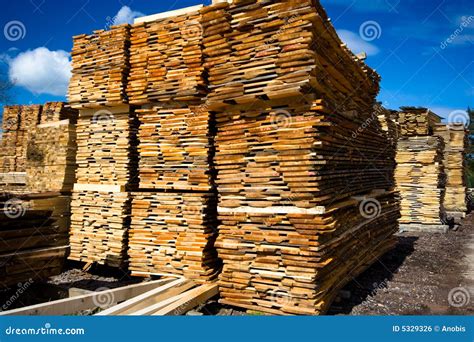 Lumber Stock Photo Image Of Background Industry Circle 5329326