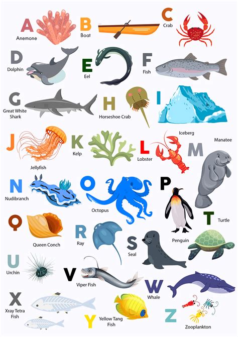 Sea Ocean Animals Alphabet Prints Sea Animals Nursery Wall Art Sea