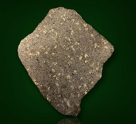 Large Martian Meteorite Slice For Sale Plateau Du Tademait Fossil Realm