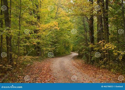 Early Autumn Fall Scenic Tree Lined Country Rural Dirt Road Stock Photo
