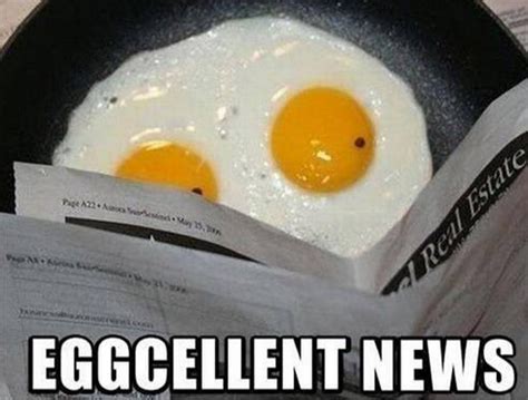 Pun Eggcellent News Lmao Food Humor Funny Eggs Funny Pictures