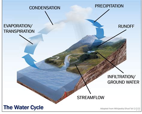 Hydrology Education The Water Cycle