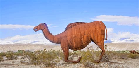 This book is about a lazy, rude camel. Stillhowlyntravels: Chilling in Borrego, cheers with new friends, hikes, repairs, & dumping for fun~~