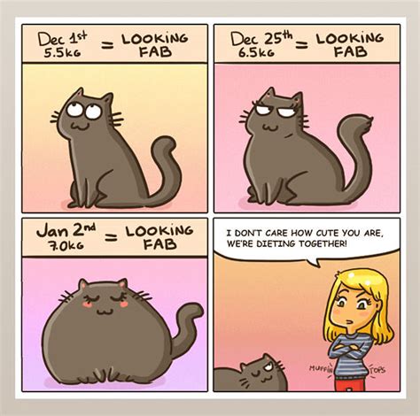 Comics That Perfectly Sum Up The Wonderfully Weird Ways Of Cats
