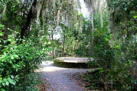 Savannah National Wildlife Refuge Hardeeville All You Need To Know