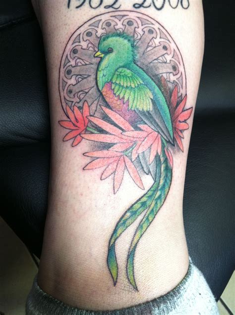 las mejores 167 tatuajes de quetzal en el brazo cfdi bbva mx
