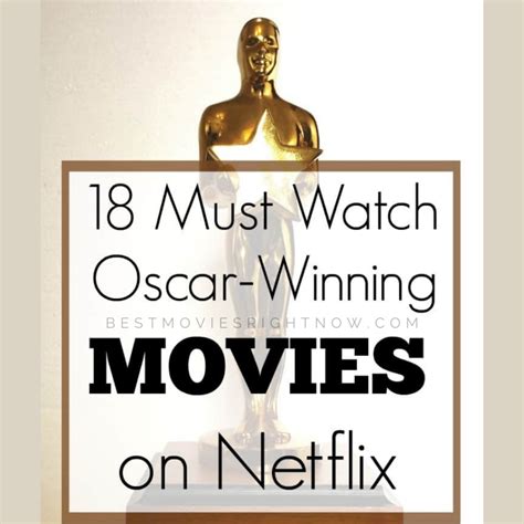 18 oscar winning movies on netflix best movies right now