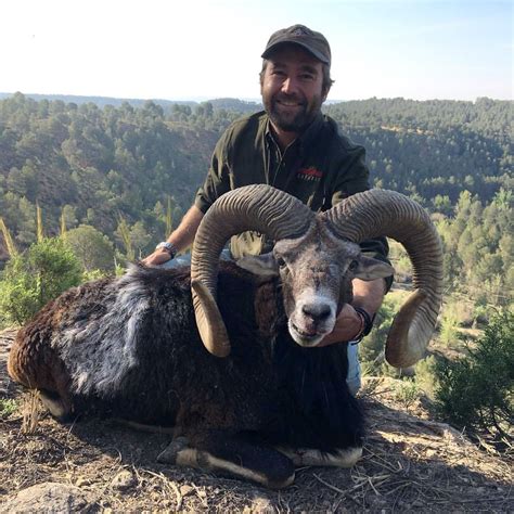 3 Day Iberian Mouflon Hunt For 2 Hunters Trophy Fee For 1 Iberian
