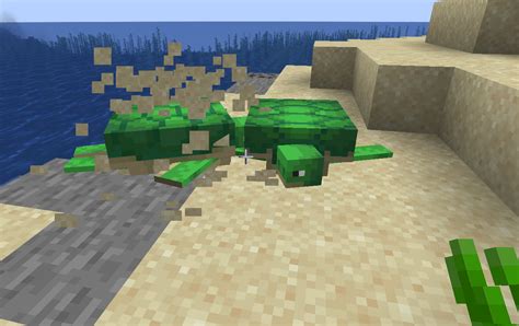 How To Breed Turtles In Minecraft Gamo Blog